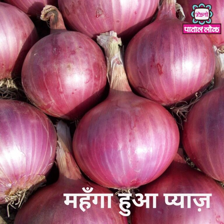 WhatsApp-Image-2023-10-30-at-19.58.01_683d50dd