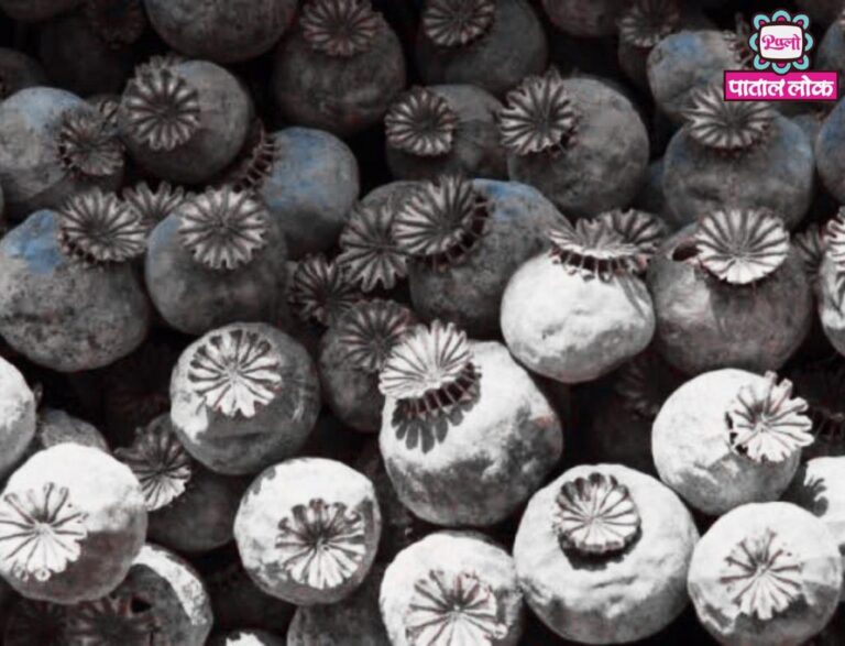 WhatsApp-Image-2023-10-31-at-20.12.51_66ca67b4