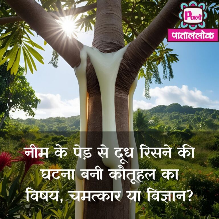 Shivratri Miracle? Neem Tree in Datia Drips White Liquid, Devotees in Awe: नीम के पेड़ से दूध रिसने की घटना बनी कौतूहल का विषय, चमत्कार या विज्ञान? 6 Black Greyscale basketball game day Instagram Post (3)