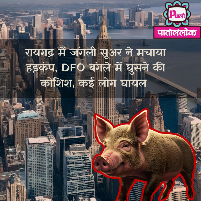 रायगढ़ में जंगली सूअर ने मचाया हड़कंप, DFO बंगले में घुसने की कोशिश, कई लोग घायल wild pig in rajgarh 8 Black Greyscale basketball game day Instagram Post (7)