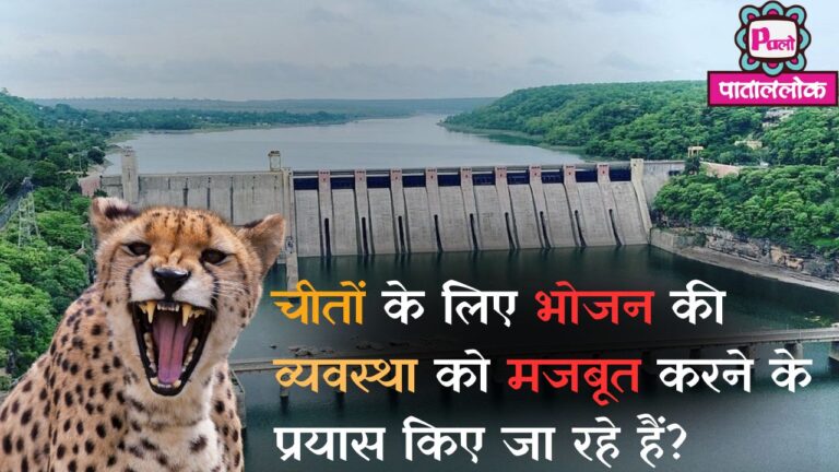 Most Attractive Youtube Thumbnail (29)