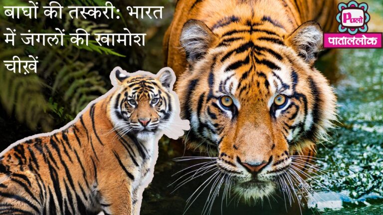 Most Attractive Youtube Thumbnail (39)