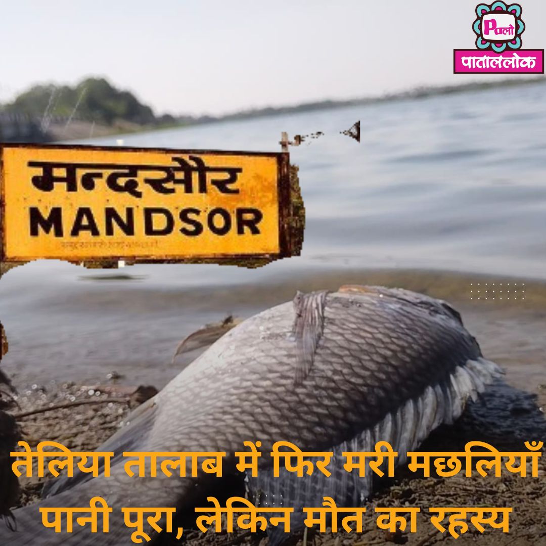 Modern Breaking News Instagram Post (13)