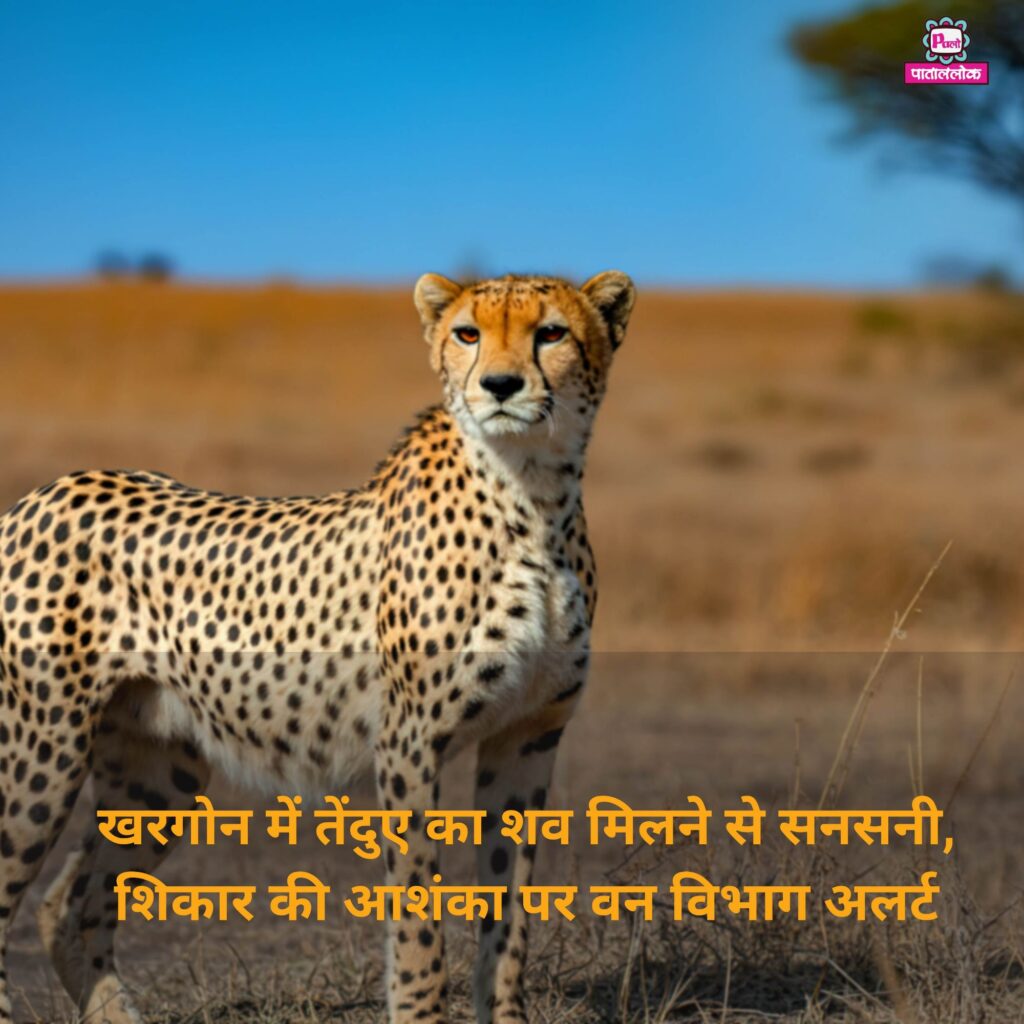 heading 20251114 162211 00001749887695775302735